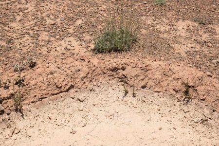 کنترل رواناب‌ها و بیابانزدایی نیازمند اعتبار ویژه است - خبرگزاری مهر | اخبار ایران و جهان