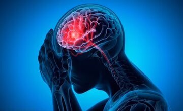 نجات از سکته مغزی با مصرف این ماده غذایی