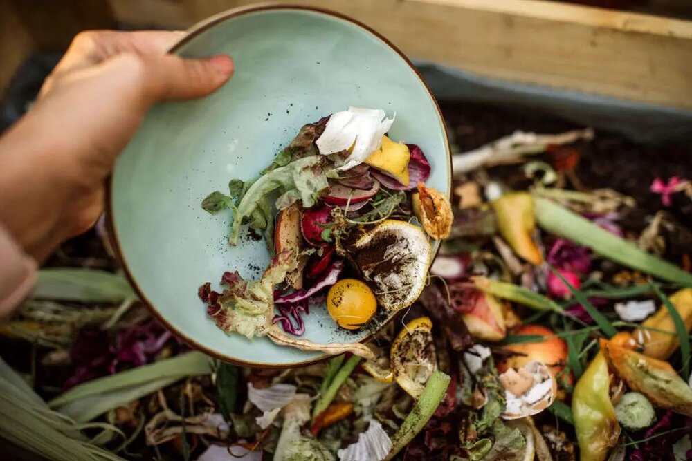 با این میزان دورریز سالانه می‌توان ۱۵ میلیون نفر را غذا داد!