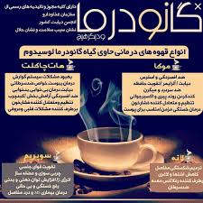 موارد مصرف قهوه گانودرما: فواید و کاربردهای درمانی