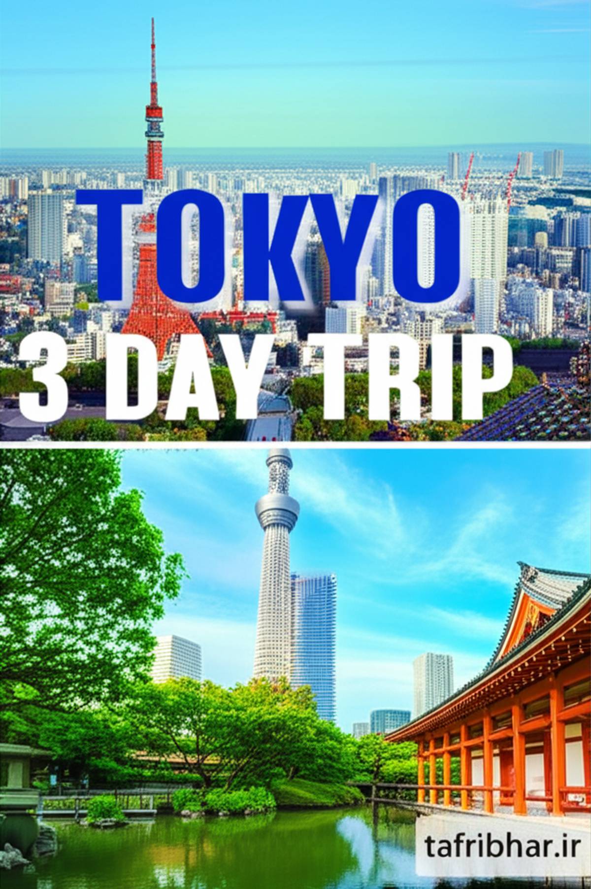 سفر ۳ روزه به توکیو