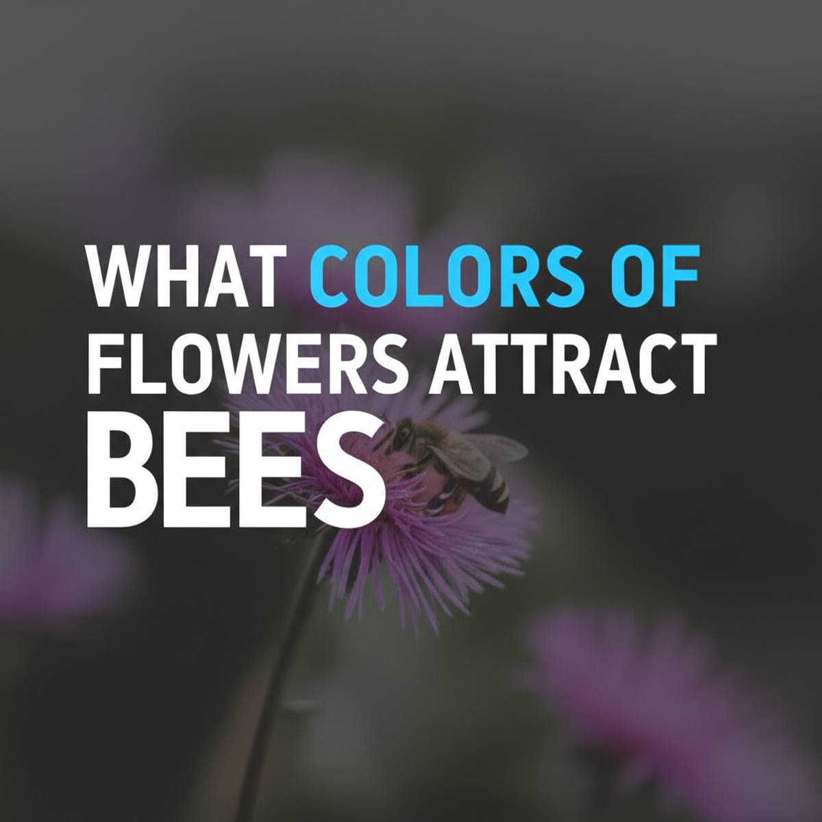 زنبورها جذب گل های چه رنگی می شوند؟