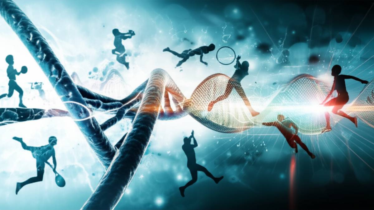 خلاصه کتاب مبانی ژنتیک در علوم ورزشی و تندرستی ( نویسنده استفن ام. روث )