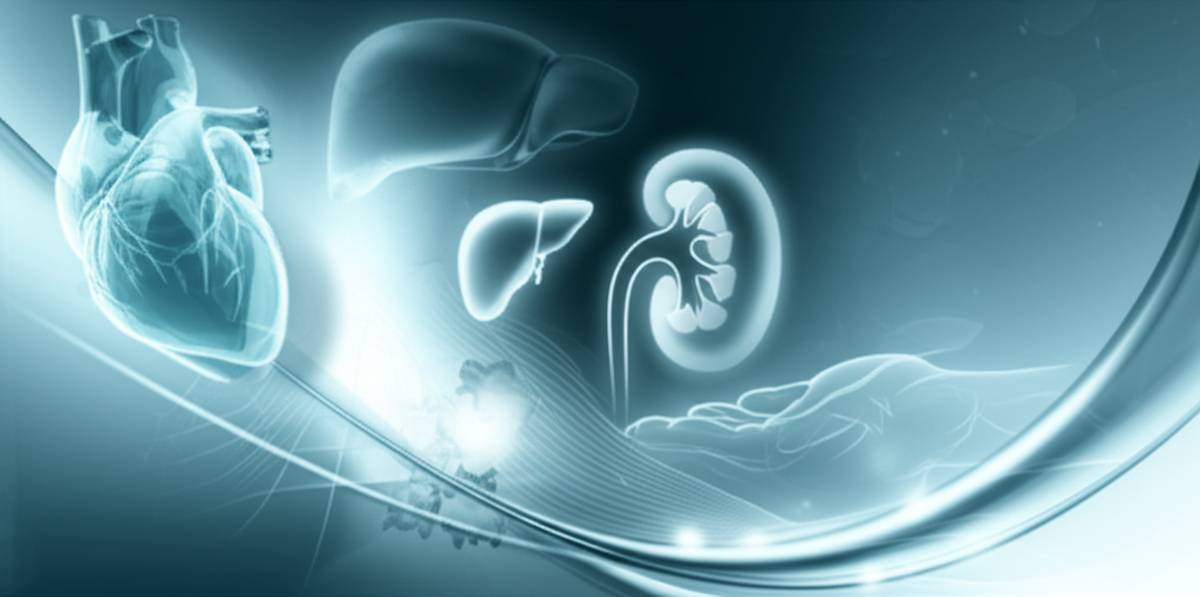 خلاصه جامع کتاب مراقبت های پرستاری در پیوند اعضا