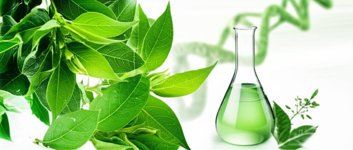 قرص گیمنما نهال سبز سلامت | نقد و بررسی کامل